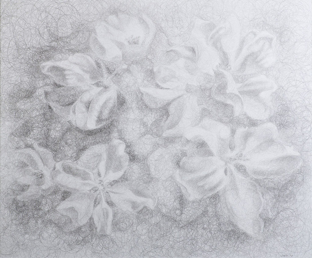 drawing of apple blossoms