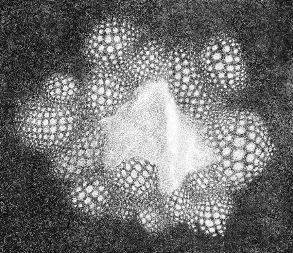 black and white drawing of a sea creature