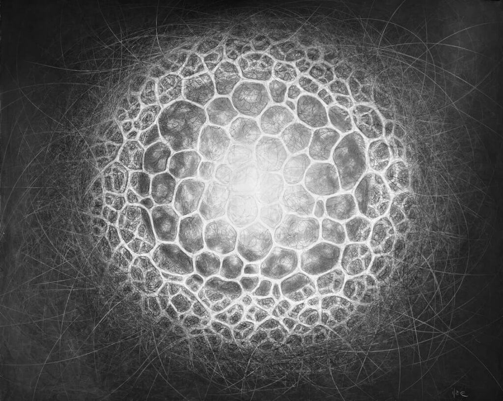 black and white drawing of a sea creature